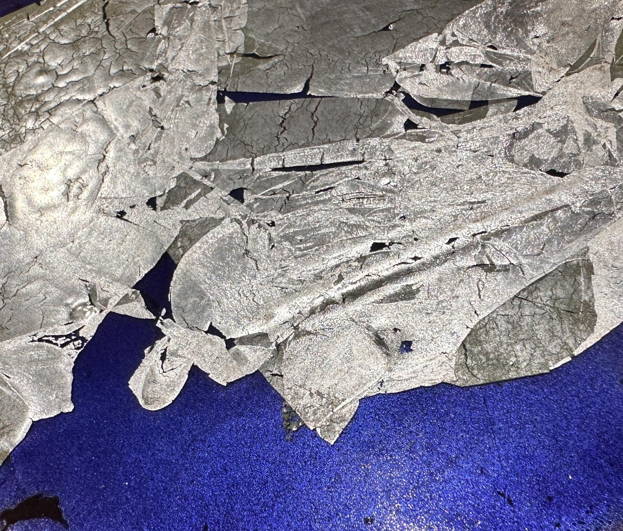 Vernissage - 17 octobre 2024