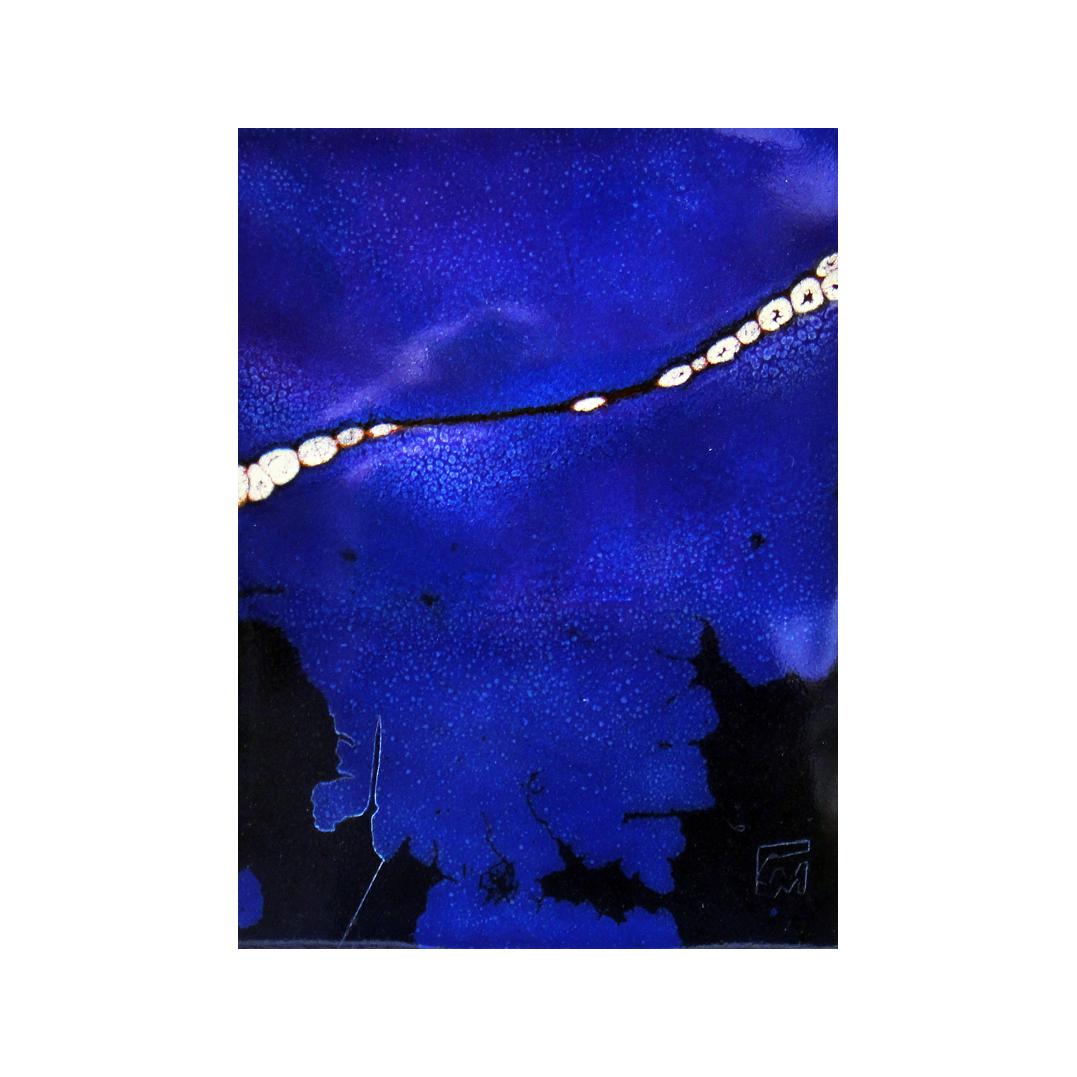 CM342 - 20x15 cm - 2011