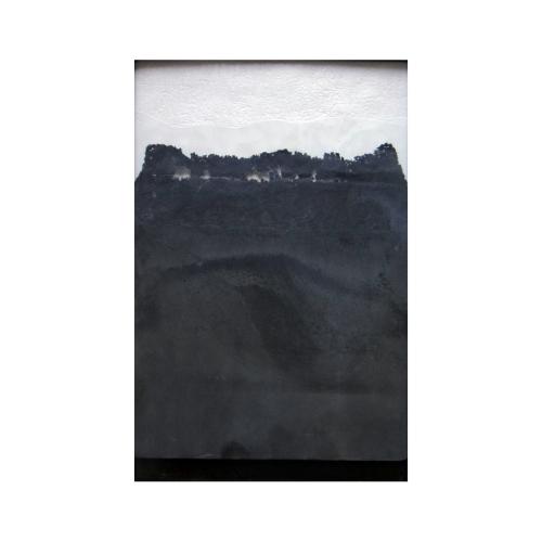 CM279 - 22x15 cm - 2013 - coll. privée