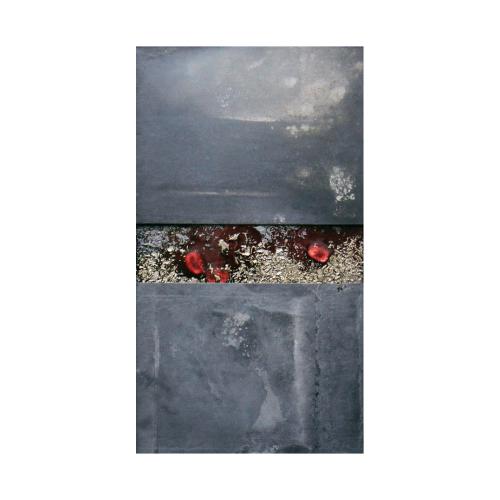 CM283 - 35x20 cm - 2013 - coll. privée