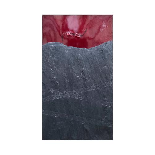 CM470 - 35x20 cm - 2013