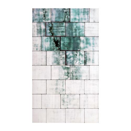 CM134 - 123x73 cm - 2012