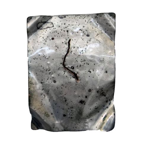 CM362 - 20x15 cm - 2011