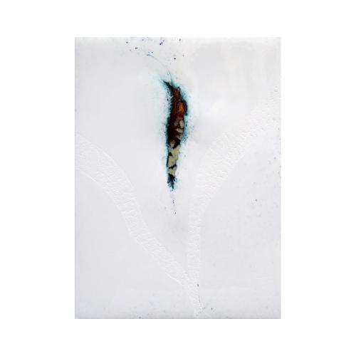 CM376 - 20x15 cm - 2011 - coll. privée