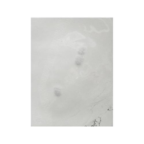 CM380 - 20x15 cm - 2011 - coll. privée