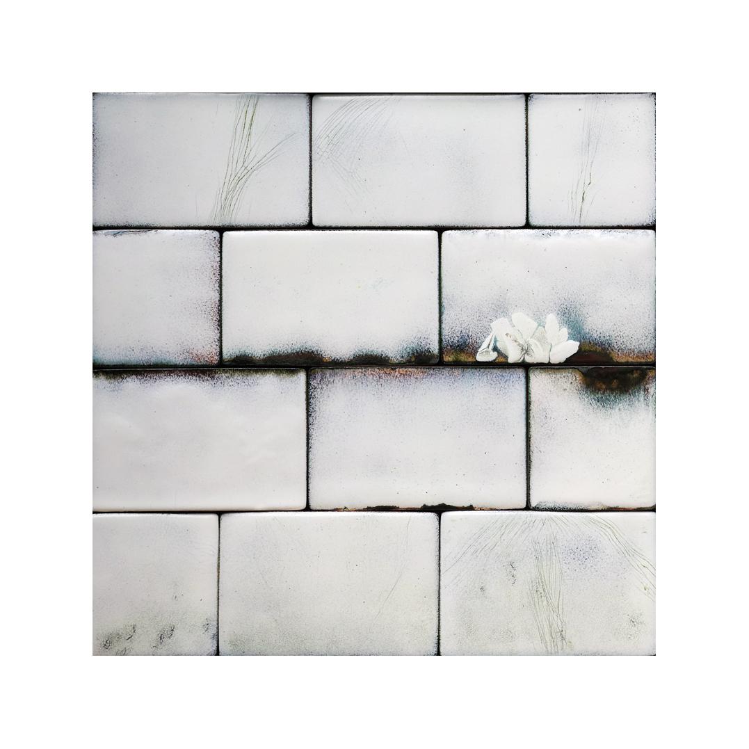 CM114 - 40x40 cm - 2015