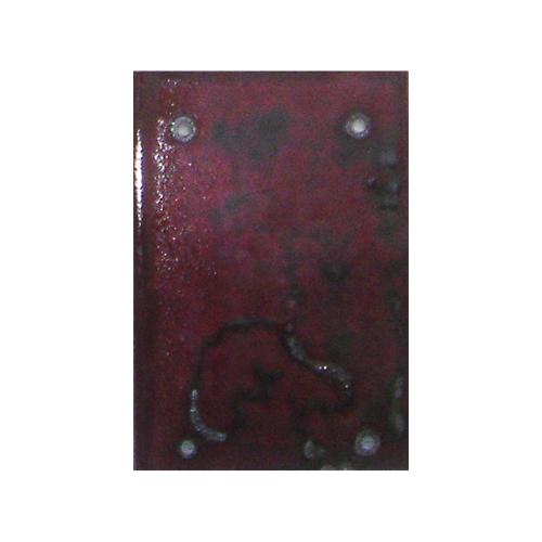 CM583 - 15x10 cm - 2008 - coll. privée