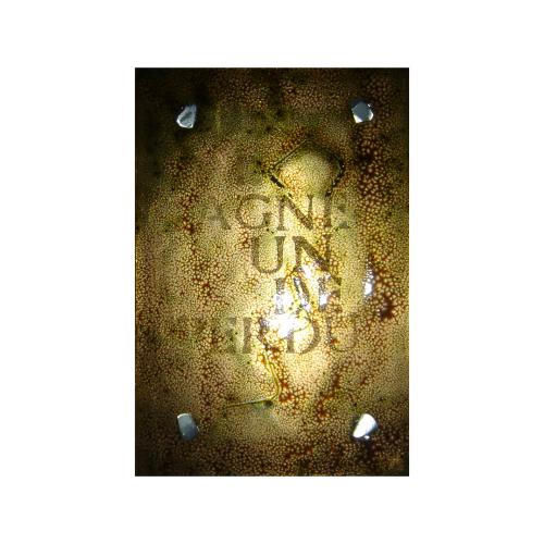 CM590 - 15x10 cm - 2008 - coll. privée