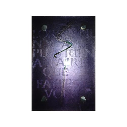 CM592 - 15x10 cm - 2008 - coll. privée