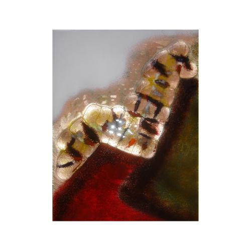 CM595 - 40x30 cm - 2008 - coll. privée