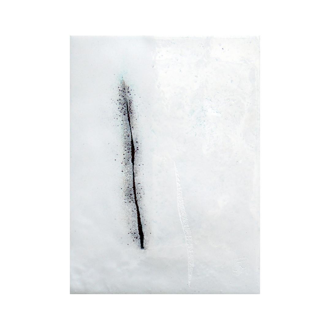 CM372 - 20x15 cm - 2011