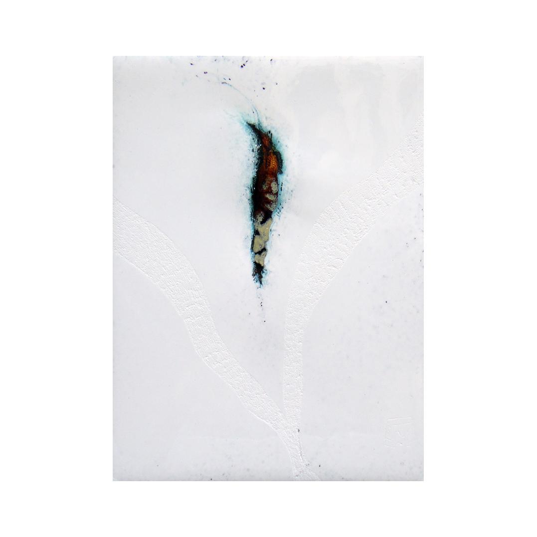 CM376 - 20x15 cm - 2011