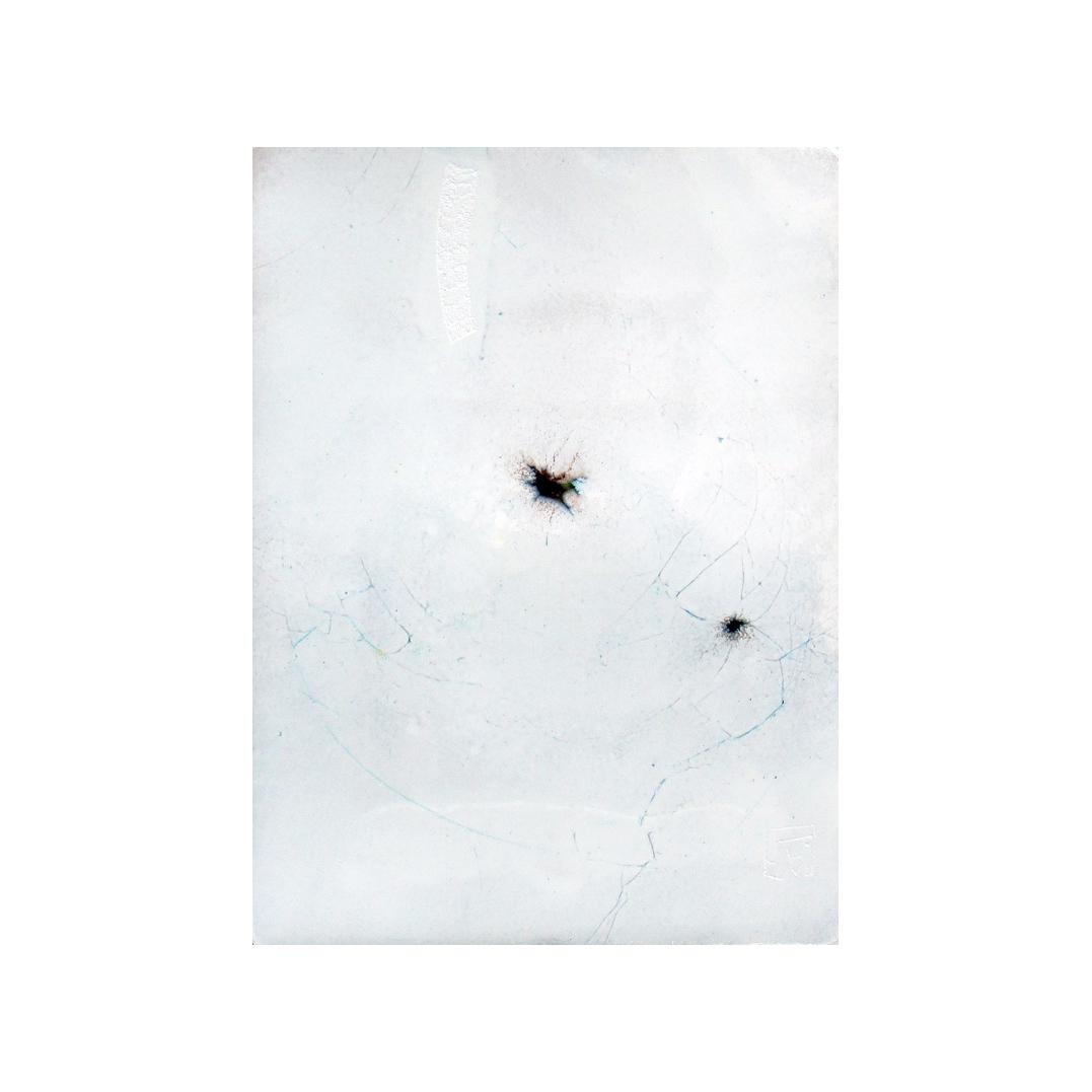 CM398 - 20x15 cm - 2011